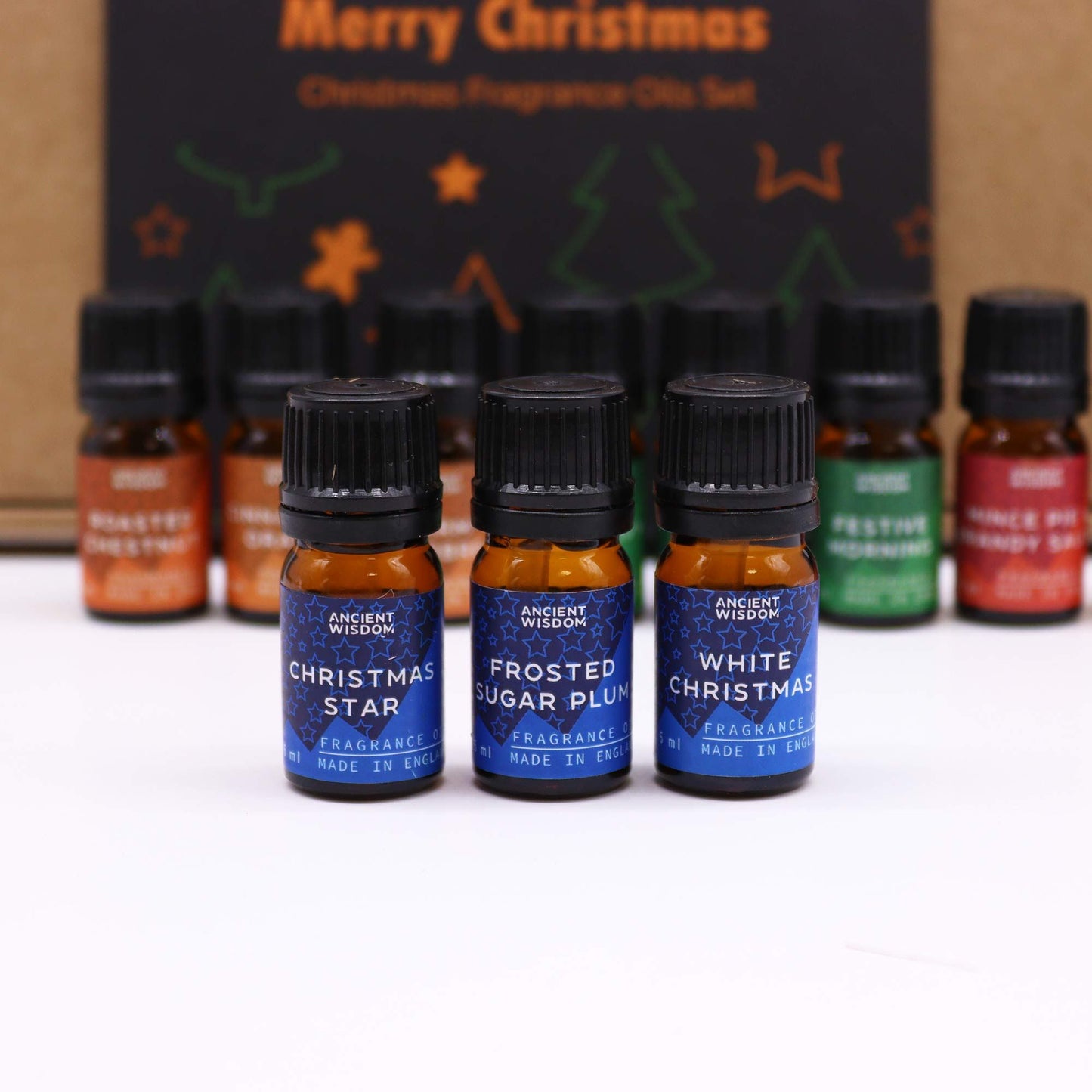 Festive Delights Fragrance Oil Set