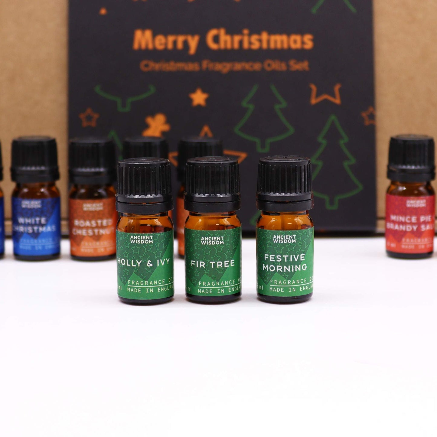 Festive Delights Fragrance Oil Set