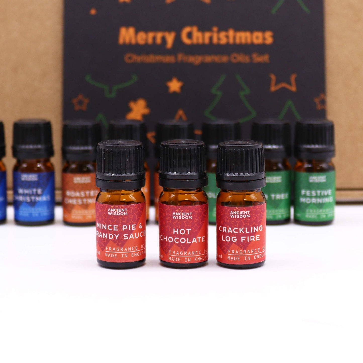 Festive Delights Fragrance Oil Set