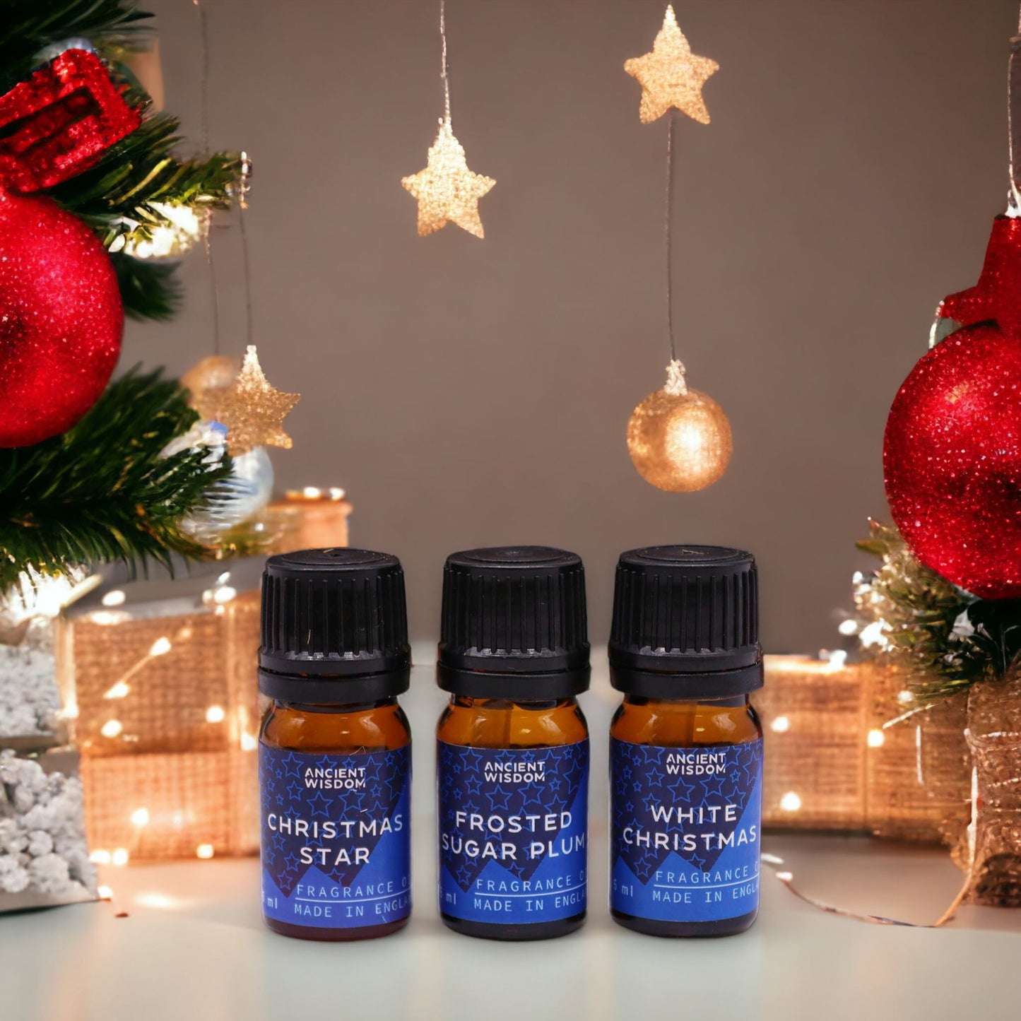 Festive Delights Fragrance Oil Set