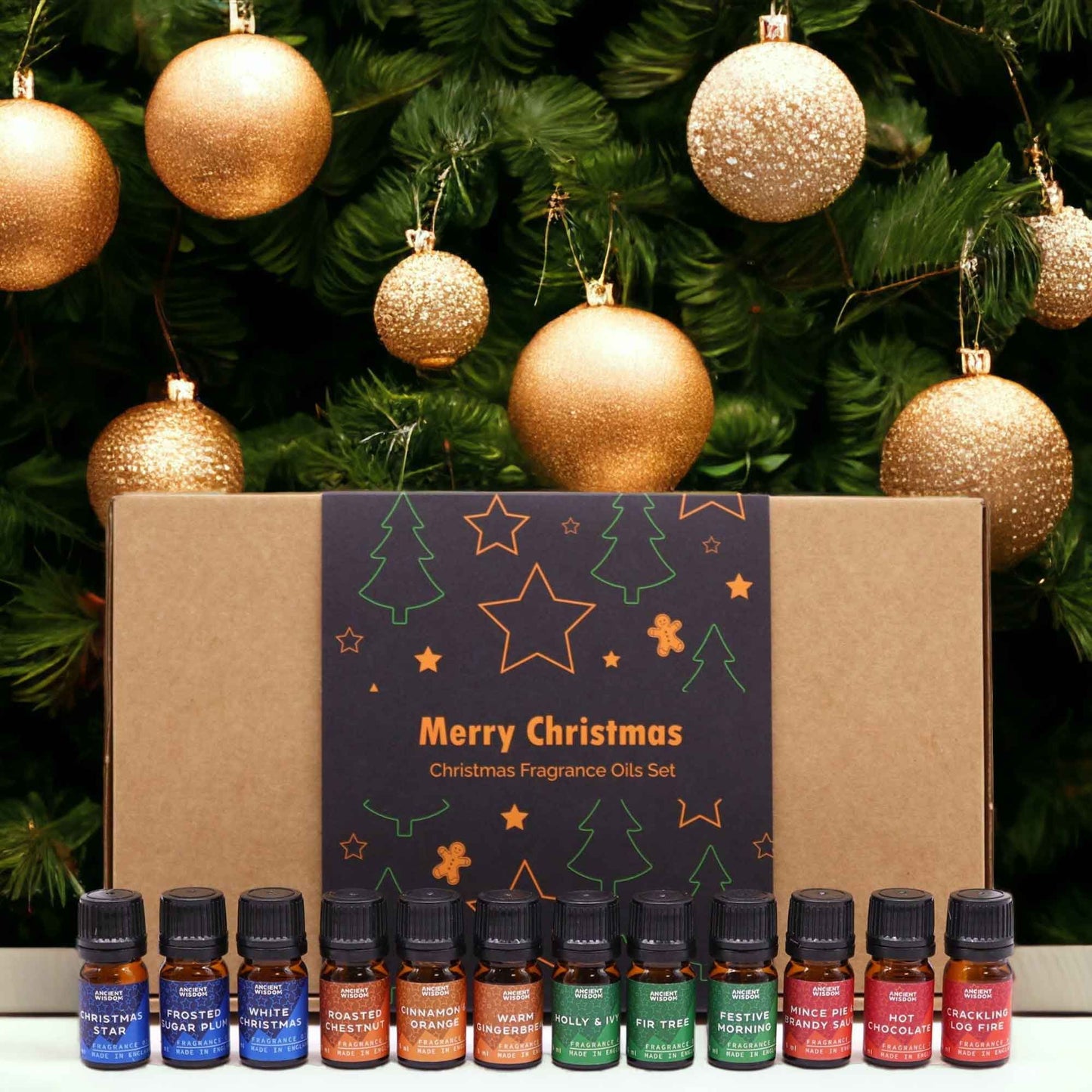 Festive Delights Fragrance Oil Set