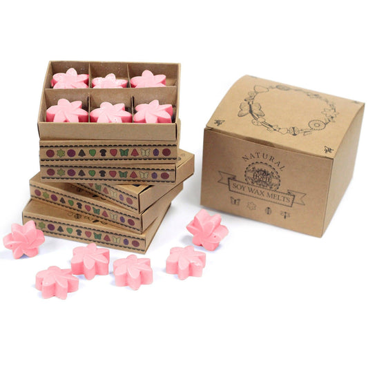 Box of 6 Wax Melts -  Japanese Magnolia