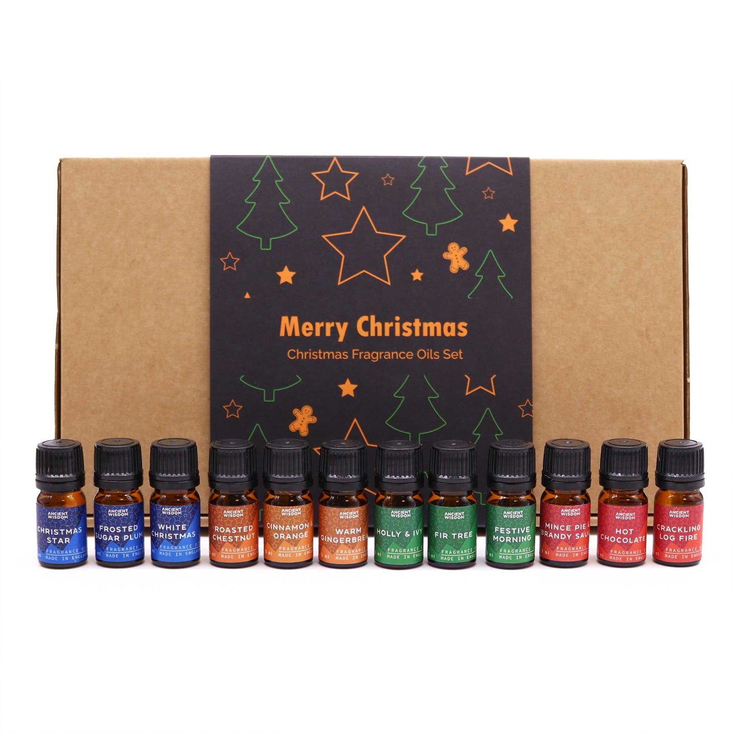 Festive Delights Fragrance Oil Set